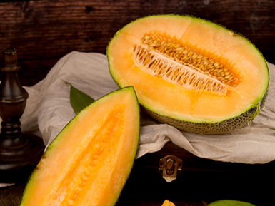 开云在线入口基地展示三