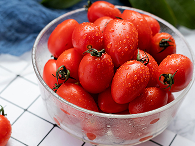 开云在线入口基地展示五